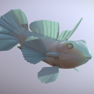 Mandarine Goby: Printable Files